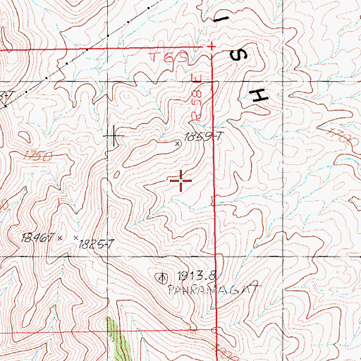 Topographic Map of Alamo Division, NV