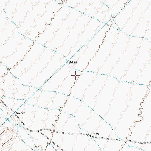Topographic Map of Goldfield Division, NV
