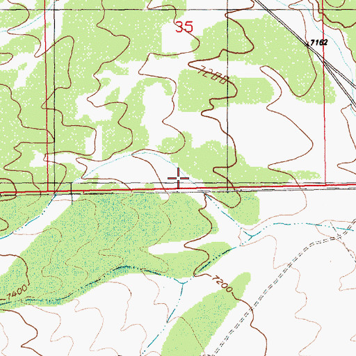 Topographic Map of Ruth Division, NV