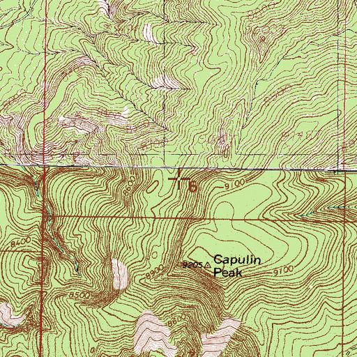 Topographic Map of Coyote Division, NM