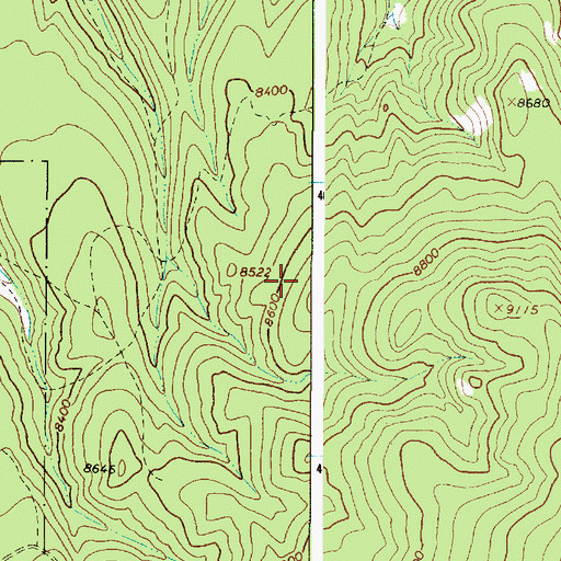 Topographic Map of Peasco Division, NM