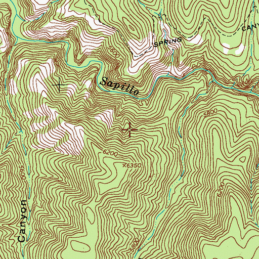 Topographic Map of Pinos Altos Division, NM