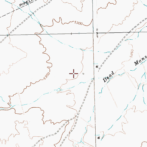 Topographic Map of Shiprock-Sanostee Division, NM