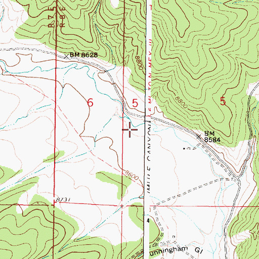 Topographic Map of Vallecitos Division, NM