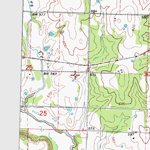 Topographic Map of East Bryan Division, OK