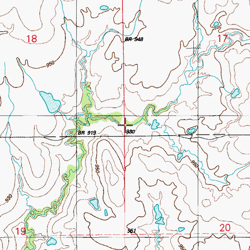 Topographic Map of Waurika Division, OK