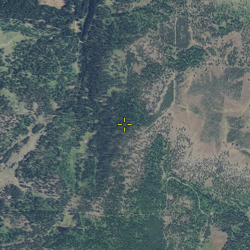 Aerial/Satellite Image of Elgin Division, OR