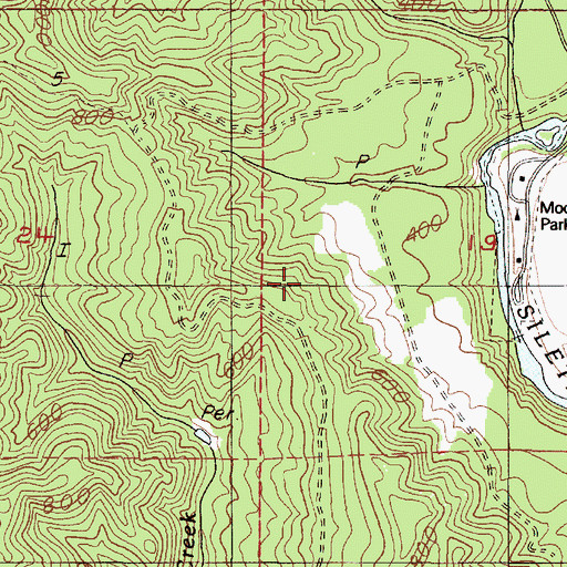 Topographic Map of Siletz Division, OR