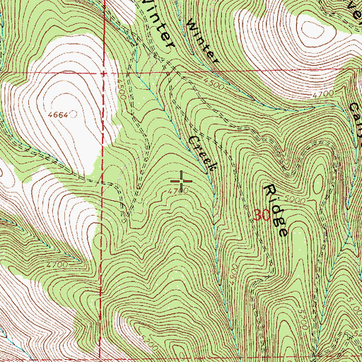 Topographic Map of Starkey Division, OR