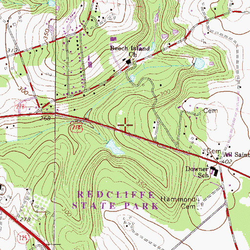 Topographic Map of Beech Island Division, SC