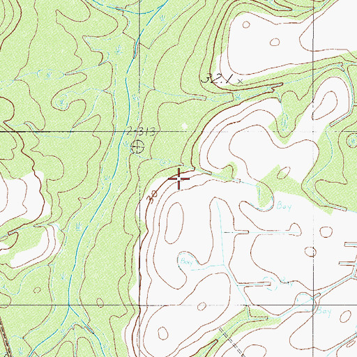 Topographic Map of Estill Division, SC