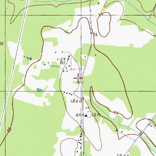 Topographic Map of Greeleyville Division, SC