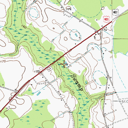 Topographic Map of Lake Swamp Division, SC