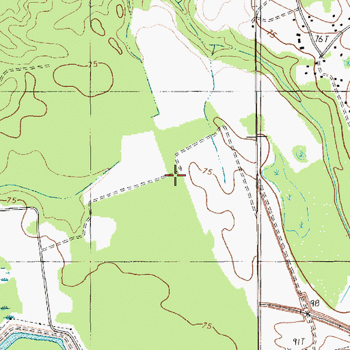 Topographic Map of Saint Stephen Division, SC