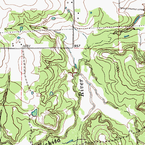 Topographic Map of Bellevue-Joy Division, TX