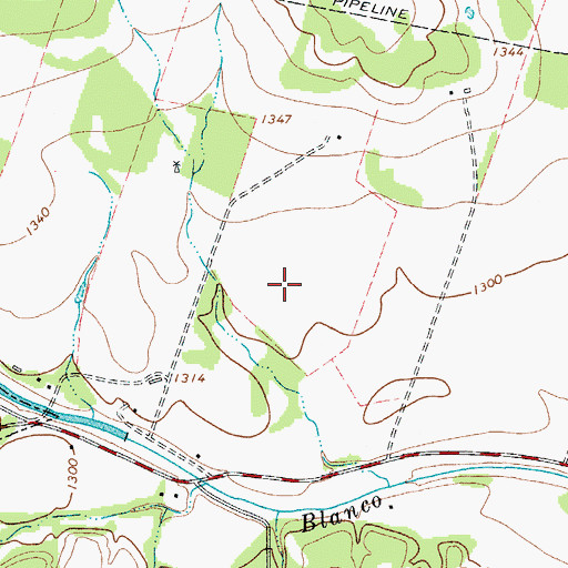 Topographic Map of Blanco Division, TX