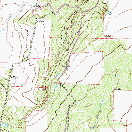Topographic Map of Bronte Division, TX