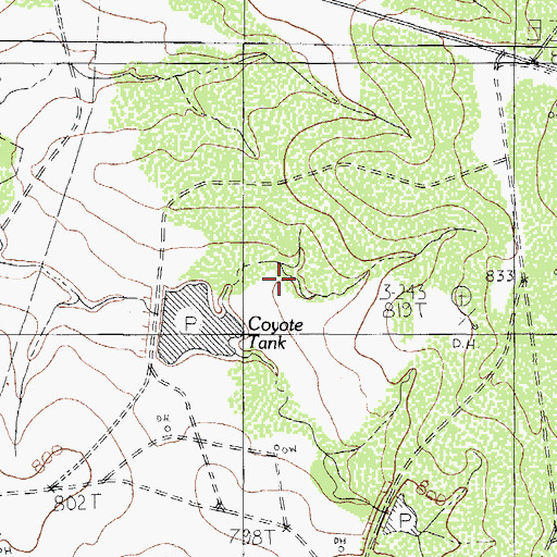 Topographic Map of Eagle Pass Division, TX