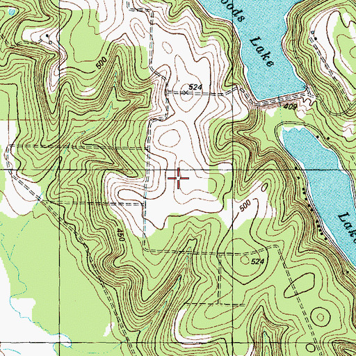Topographic Map of Frankston Division, TX
