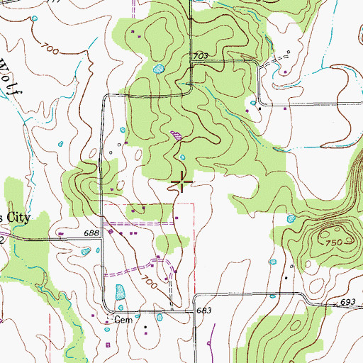 Topographic Map of Gainesville Southeast Division, TX