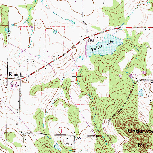 Topographic Map of Gilmer Division, TX
