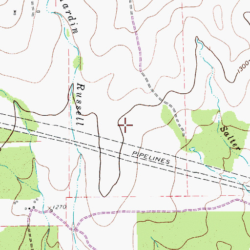 Topographic Map of Johnson City Division, TX