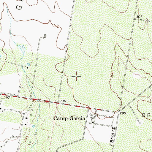 Topographic Map of La Grulla Division, TX