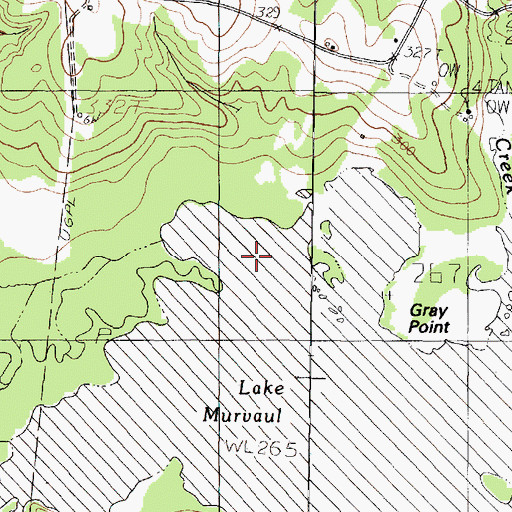 Topographic Map of Long Branch-Dotson Division, TX