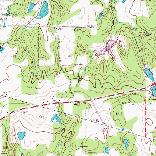 Topographic Map of Mineola Division, TX