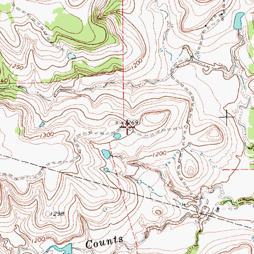Topographic Map of Morgan Mill-Bluff Dale Division, TX