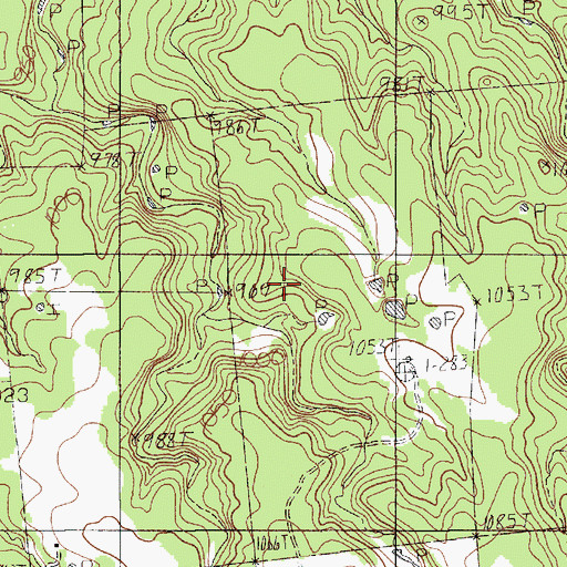 Topographic Map of Palo Pinto-Santo Division, TX