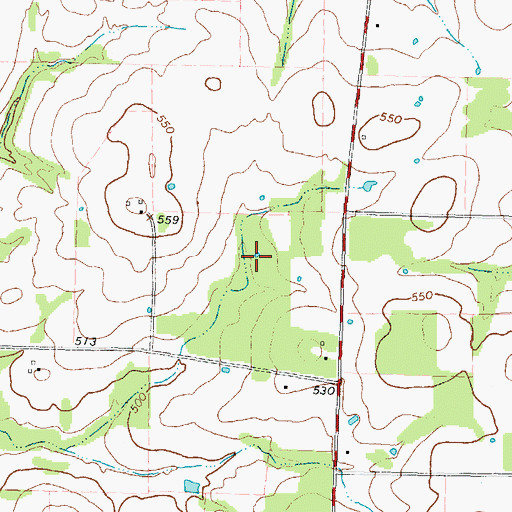 Topographic Map of Pickton-Pine Forest Division, TX