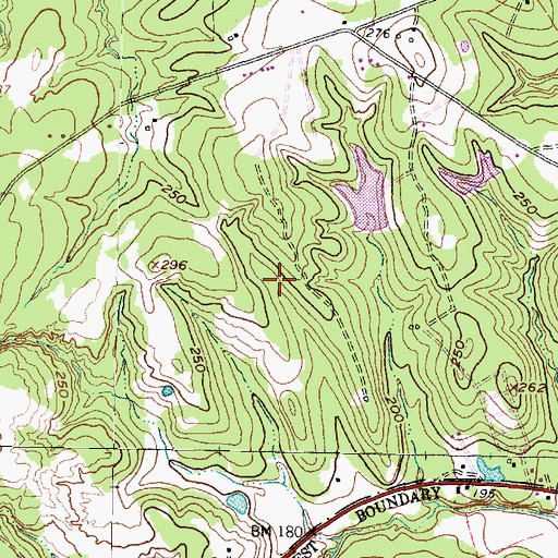 Topographic Map of Point Blank Division, TX