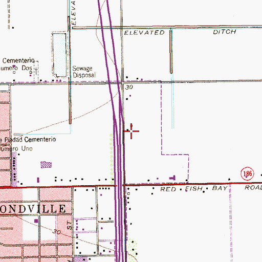 Topographic Map of Raymondville Division, TX