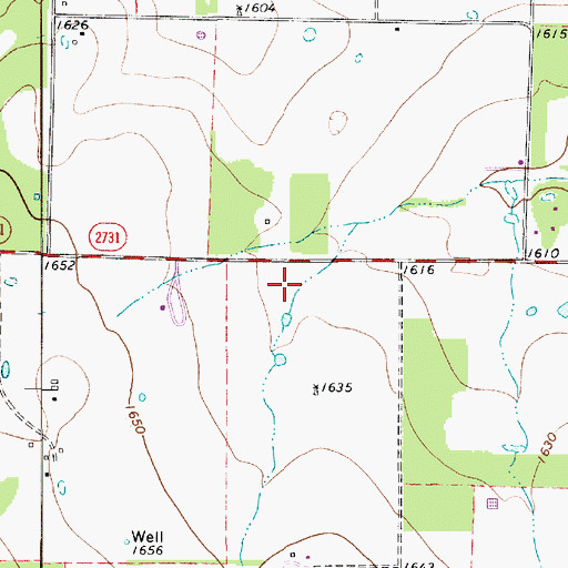 Topographic Map of Rising Star Division, TX
