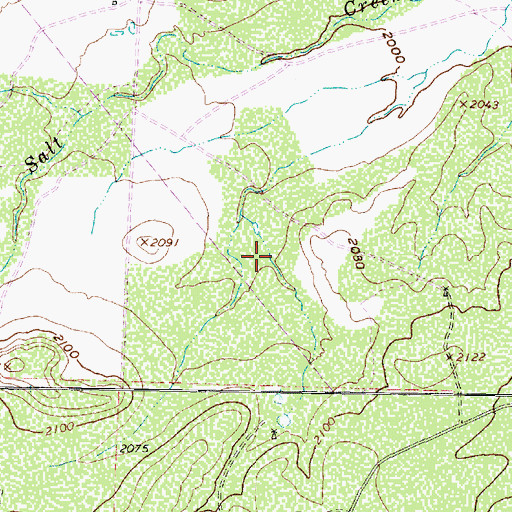 Topographic Map of Robert Lee Division, TX