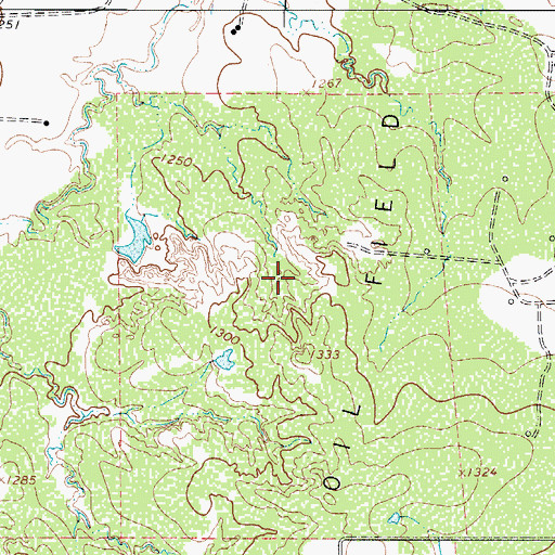 Topographic Map of Seymour Rural Division, TX