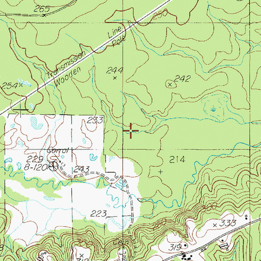Topographic Map of Shelbyville Division, TX