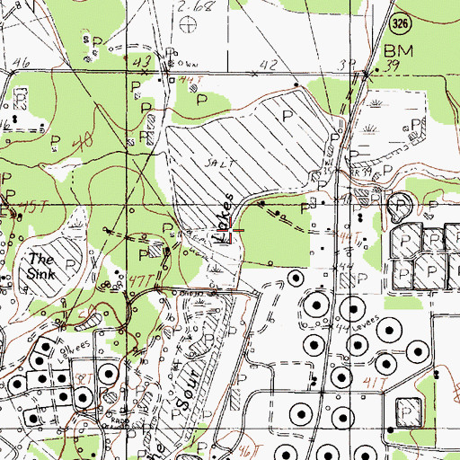 Topographic Map of Sour Lake Division, TX