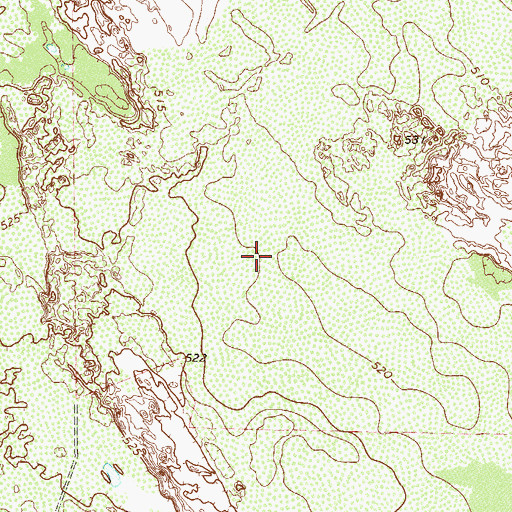 Topographic Map of South Jim Hogg Division, TX