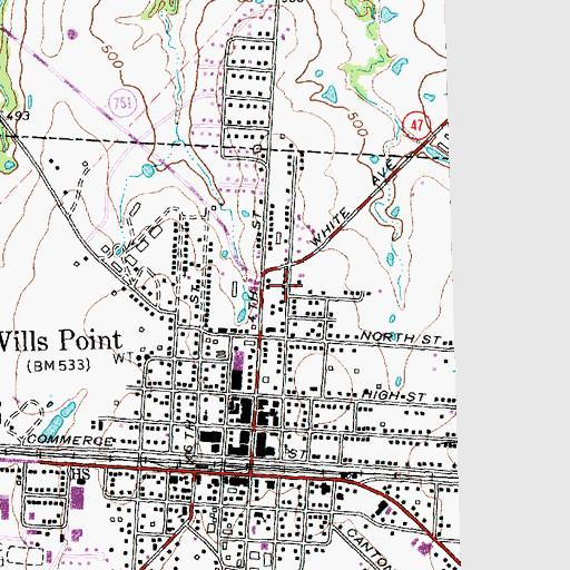 Topographic Map of Wills Point Division, TX