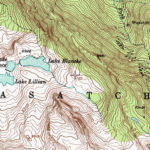 Topographic Map of Cottonwood Division, UT