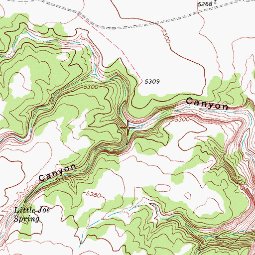 Topographic Map of Little Joe Canyon, CO