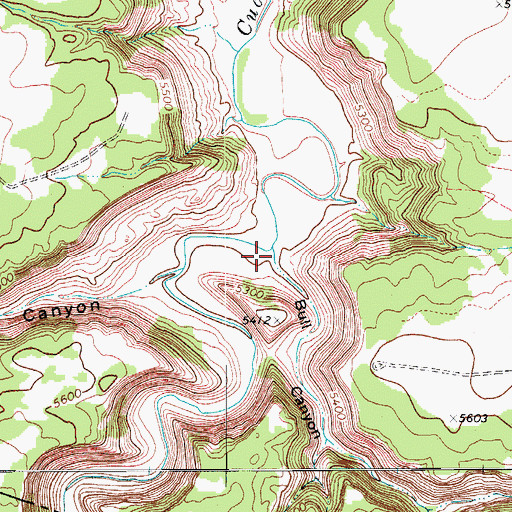 Topographic Map of Bull Canyon, CO