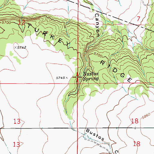 Topographic Map of Bustos Spring, CO