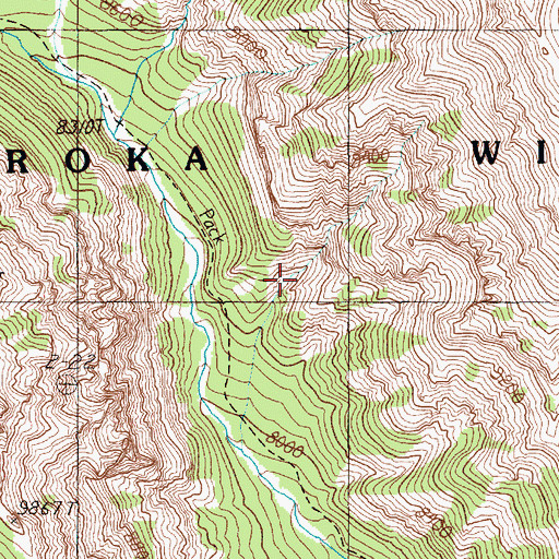 Topographic Map of Cody Division, WY