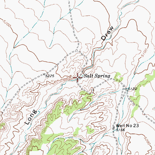 Topographic Map of Salt Spring, CO