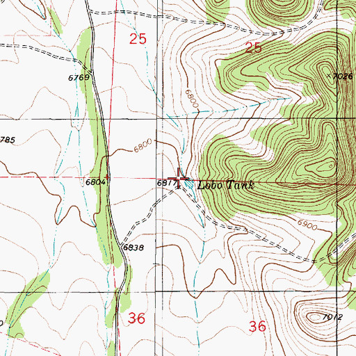 Topographic Map of Lobo Tank, NM