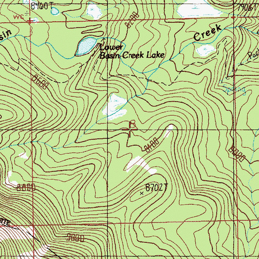 Topographic Map of Red Lodge Division, MT