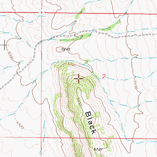 Topographic Map of Whitehall Division, MT